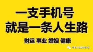 数字磁场解析车牌号码