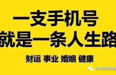 数字磁场解析车牌号码